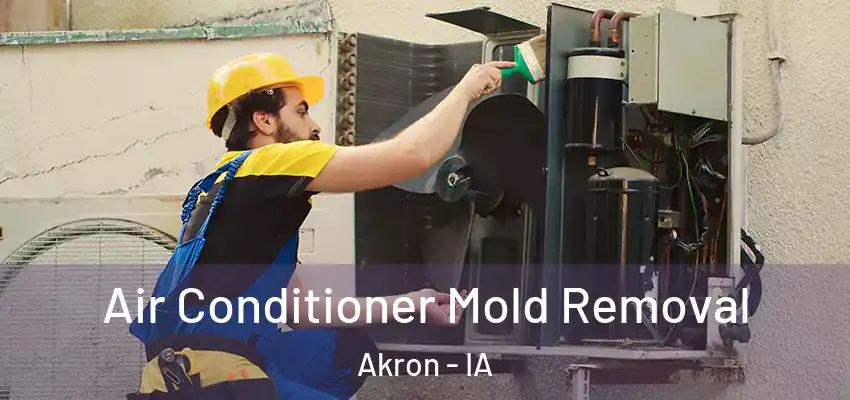  Air Conditioner Mold Removal Akron - IA