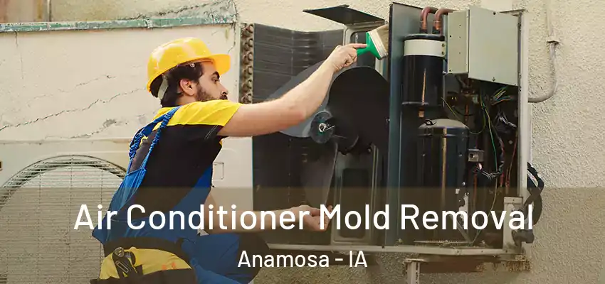 Air Conditioner Mold Removal Anamosa - IA