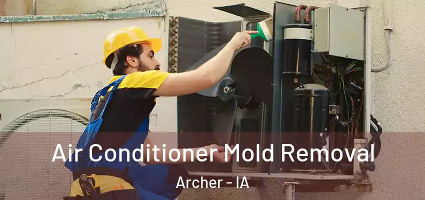 Air Conditioner Mold Removal Archer - IA
