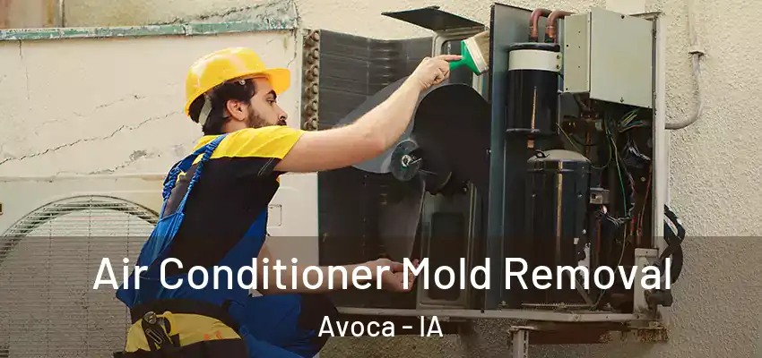Air Conditioner Mold Removal Avoca - IA