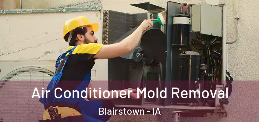  Air Conditioner Mold Removal Blairstown - IA