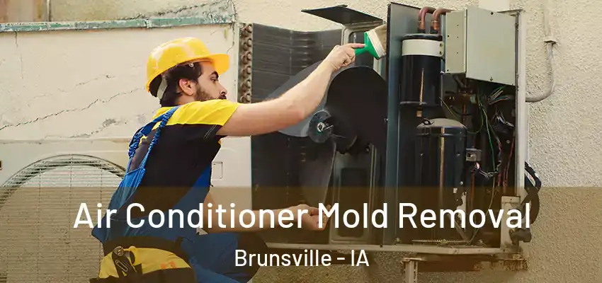  Air Conditioner Mold Removal Brunsville - IA
