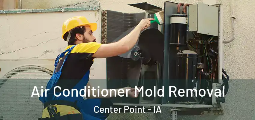  Air Conditioner Mold Removal Center Point - IA