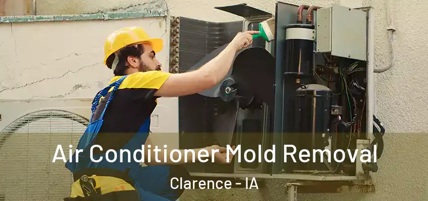  Air Conditioner Mold Removal Clarence - IA