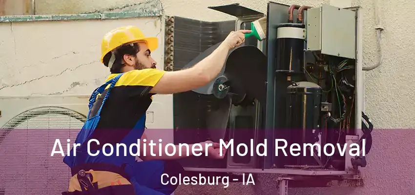  Air Conditioner Mold Removal Colesburg - IA