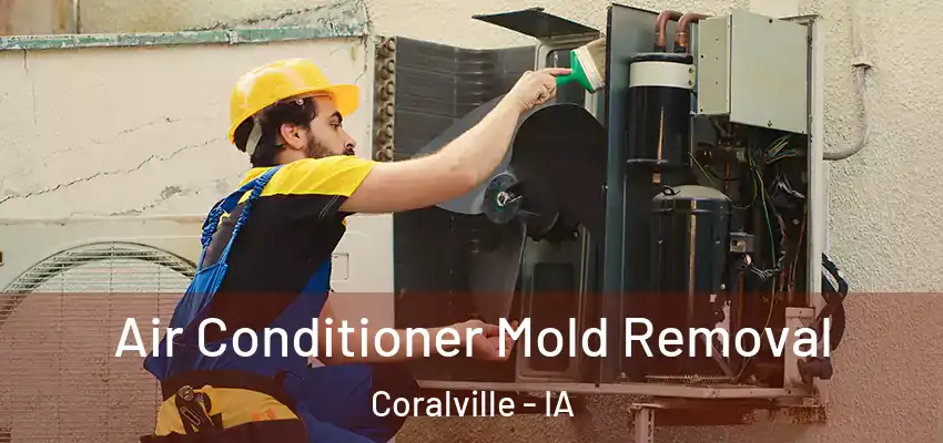  Air Conditioner Mold Removal Coralville - IA