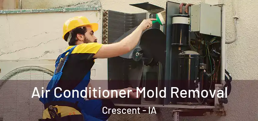  Air Conditioner Mold Removal Crescent - IA