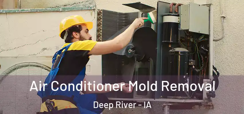  Air Conditioner Mold Removal Deep River - IA