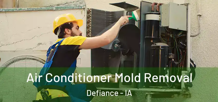  Air Conditioner Mold Removal Defiance - IA