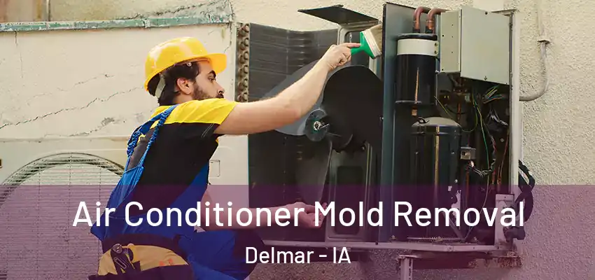 Air Conditioner Mold Removal Delmar - IA