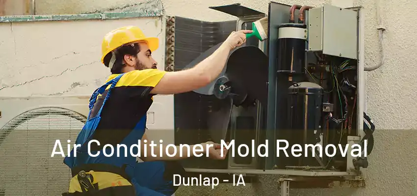 Air Conditioner Mold Removal Dunlap - IA