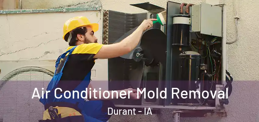  Air Conditioner Mold Removal Durant - IA