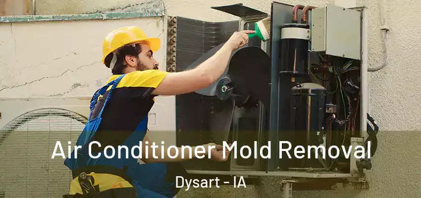  Air Conditioner Mold Removal Dysart - IA