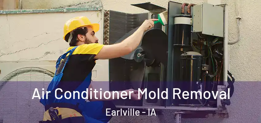  Air Conditioner Mold Removal Earlville - IA