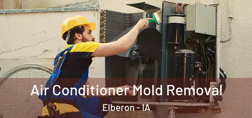  Air Conditioner Mold Removal Elberon - IA