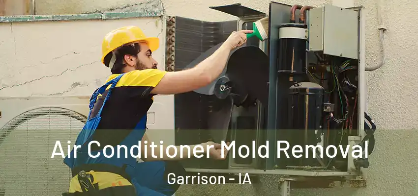 Air Conditioner Mold Removal Garrison - IA