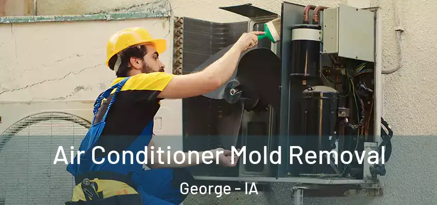  Air Conditioner Mold Removal George - IA
