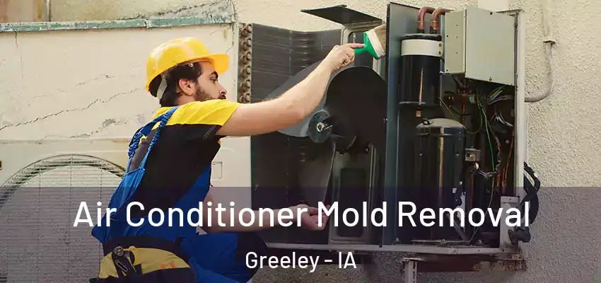  Air Conditioner Mold Removal Greeley - IA
