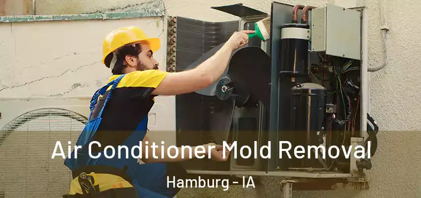Air Conditioner Mold Removal Hamburg - IA