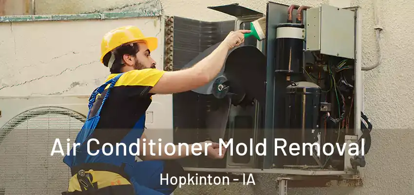  Air Conditioner Mold Removal Hopkinton - IA