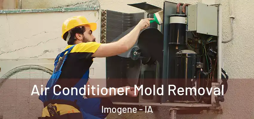 Air Conditioner Mold Removal Imogene - IA