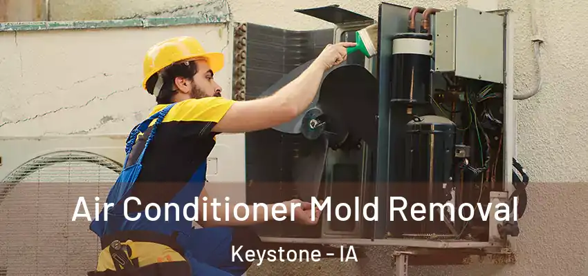 Air Conditioner Mold Removal Keystone - IA