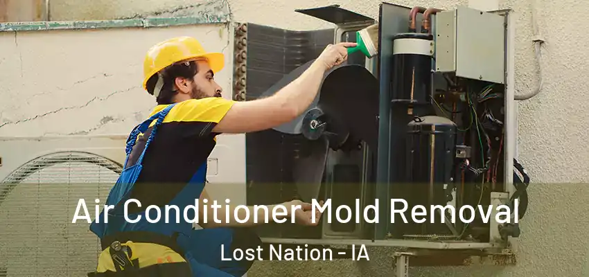  Air Conditioner Mold Removal Lost Nation - IA
