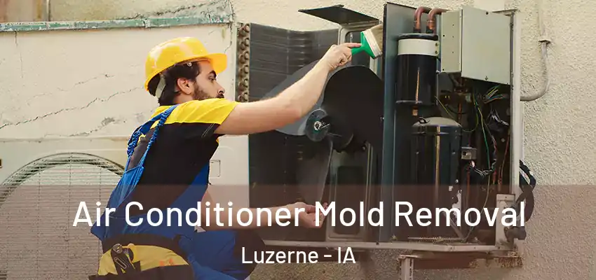  Air Conditioner Mold Removal Luzerne - IA