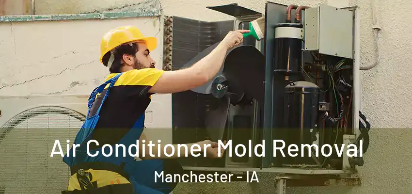  Air Conditioner Mold Removal Manchester - IA