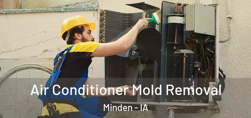 Air Conditioner Mold Removal Minden - IA