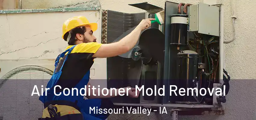  Air Conditioner Mold Removal Missouri Valley - IA