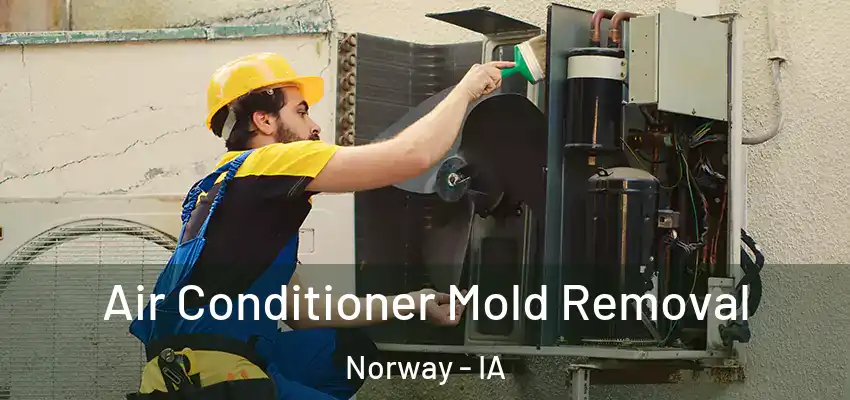 Air Conditioner Mold Removal Norway - IA