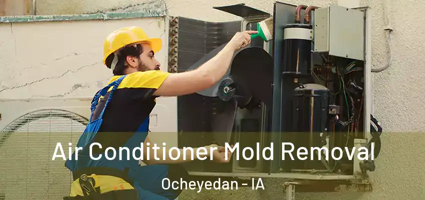  Air Conditioner Mold Removal Ocheyedan - IA