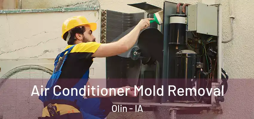 Air Conditioner Mold Removal Olin - IA