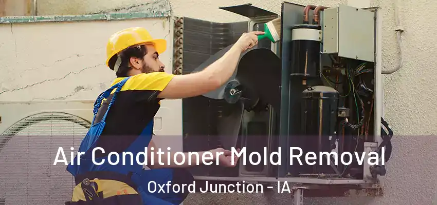  Air Conditioner Mold Removal Oxford Junction - IA