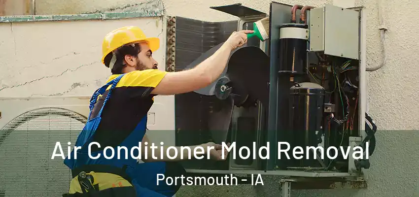 Air Conditioner Mold Removal Portsmouth - IA