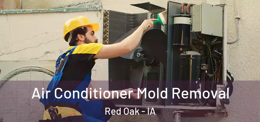  Air Conditioner Mold Removal Red Oak - IA