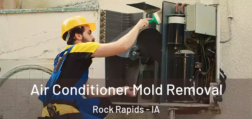  Air Conditioner Mold Removal Rock Rapids - IA