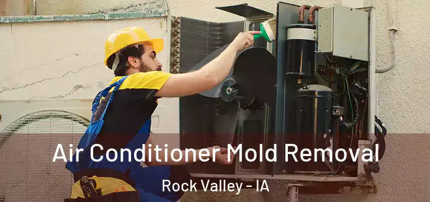  Air Conditioner Mold Removal Rock Valley - IA