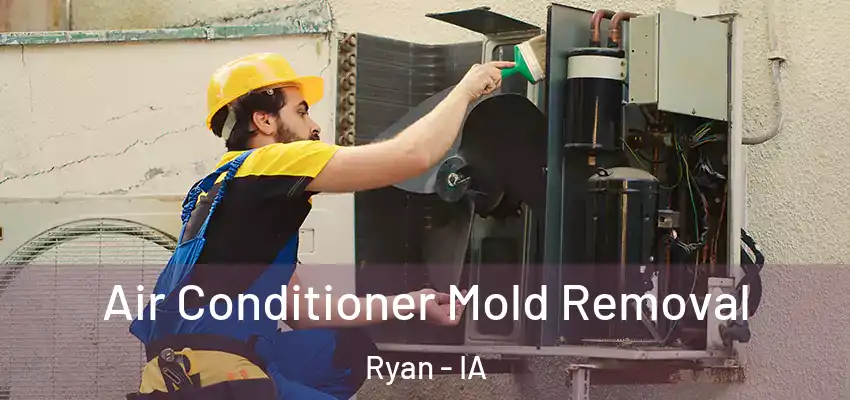 Air Conditioner Mold Removal Ryan - IA