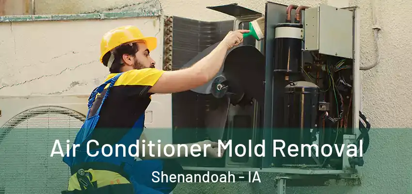  Air Conditioner Mold Removal Shenandoah - IA