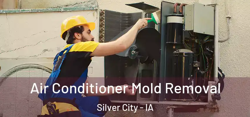  Air Conditioner Mold Removal Silver City - IA