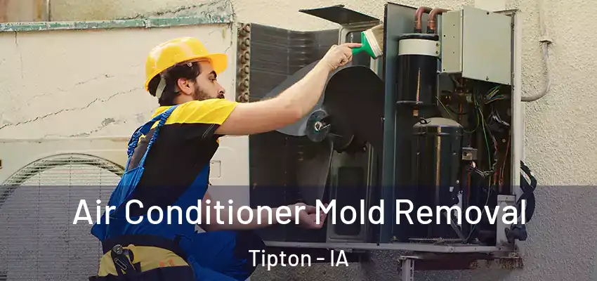  Air Conditioner Mold Removal Tipton - IA