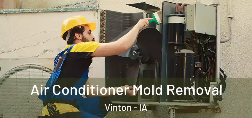  Air Conditioner Mold Removal Vinton - IA