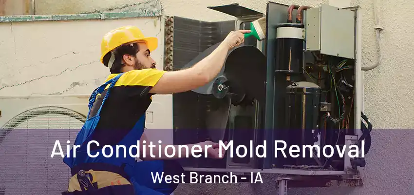  Air Conditioner Mold Removal West Branch - IA