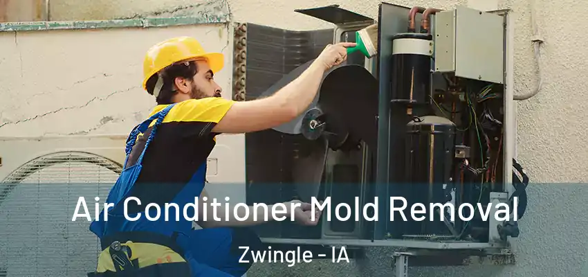  Air Conditioner Mold Removal Zwingle - IA