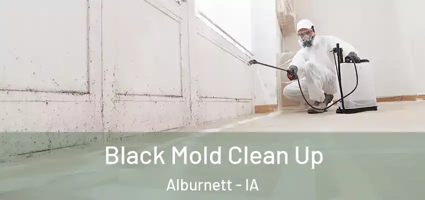 Black Mold Clean Up Alburnett - IA