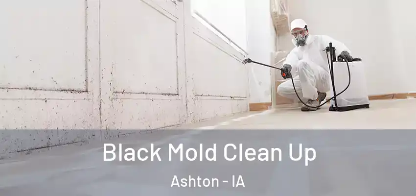  Black Mold Clean Up Ashton - IA