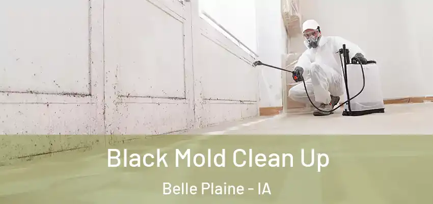  Black Mold Clean Up Belle Plaine - IA