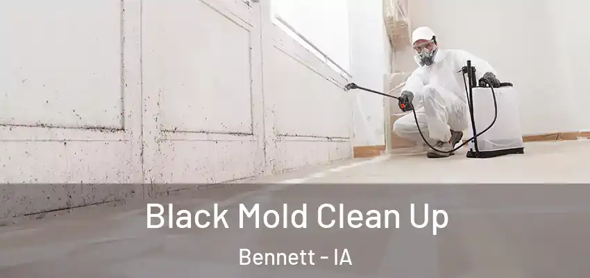  Black Mold Clean Up Bennett - IA